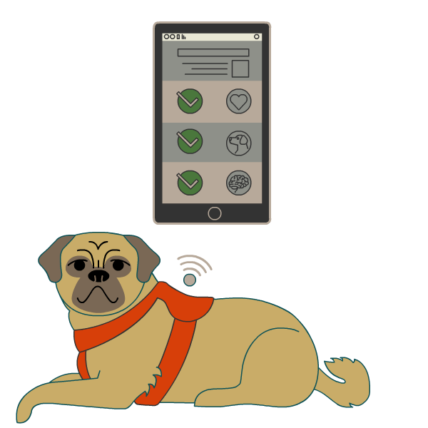 插图狗戴的挽具连接到一个手机应用程序